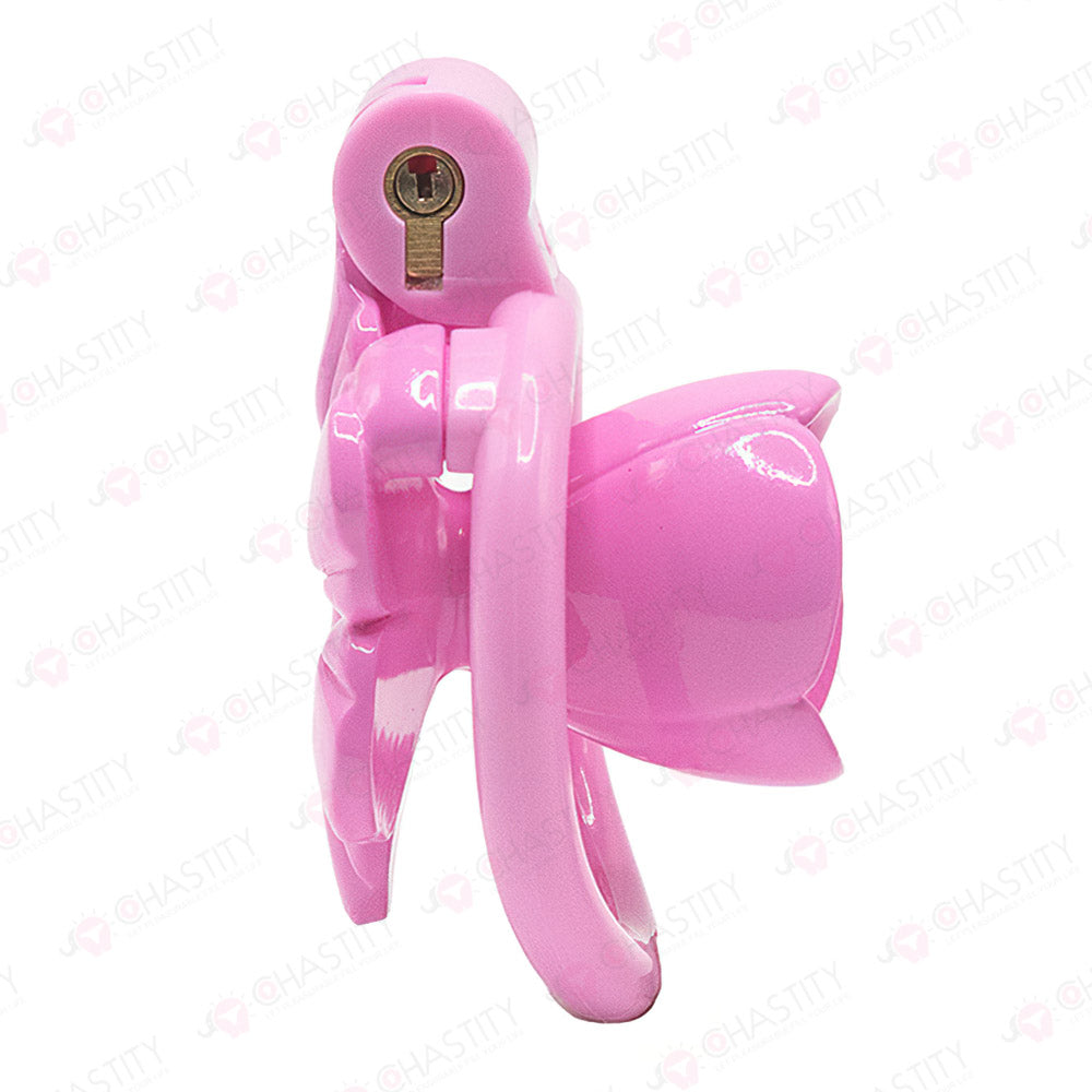 Blooming Flower Shrinking In Chastity