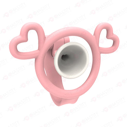 Chastity Boy Removable Negative Cover Cage