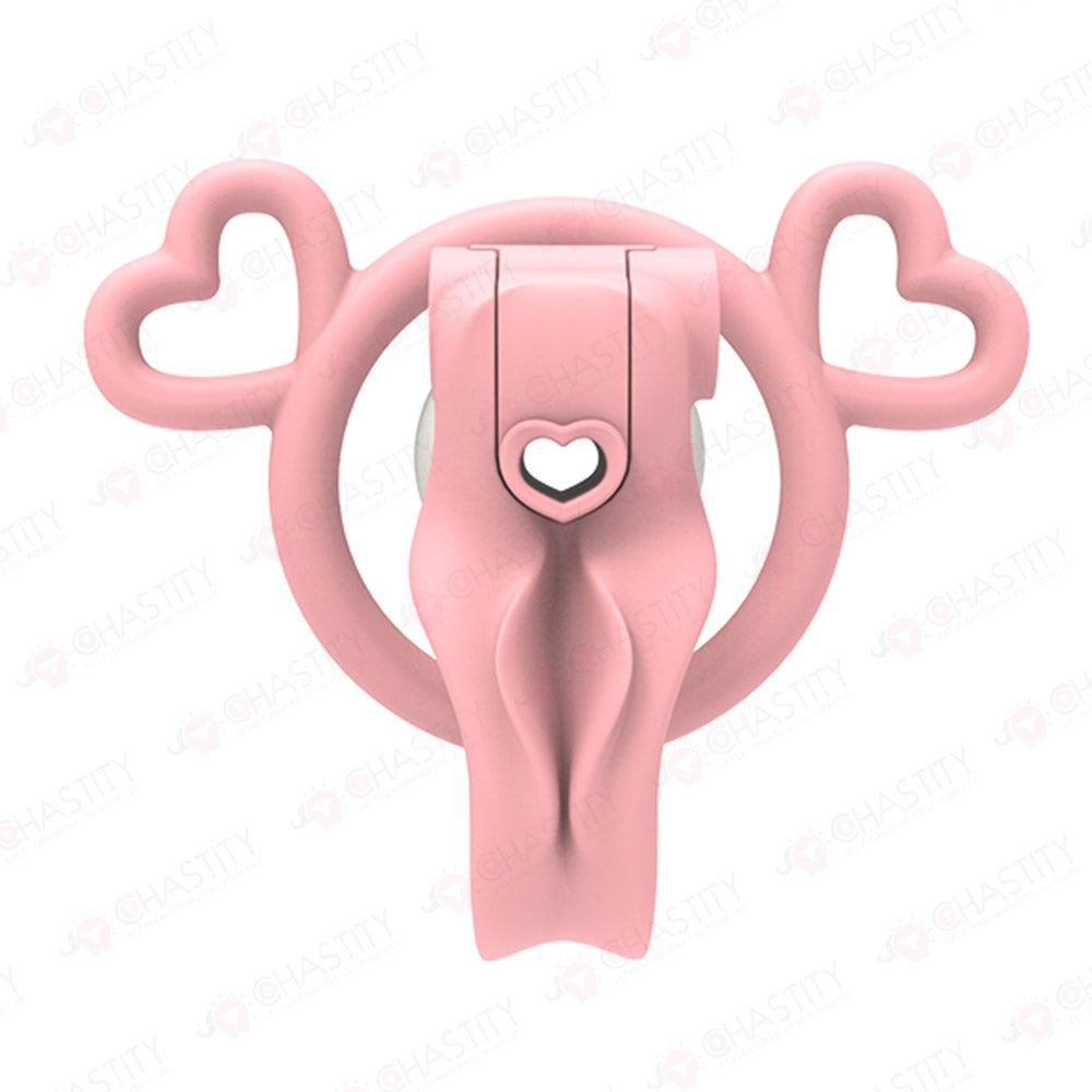 Chastity Boy Removable Negative Cover Cage