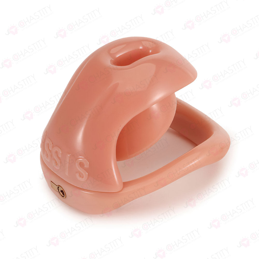Chastity Cage For Sissy Crossdressing