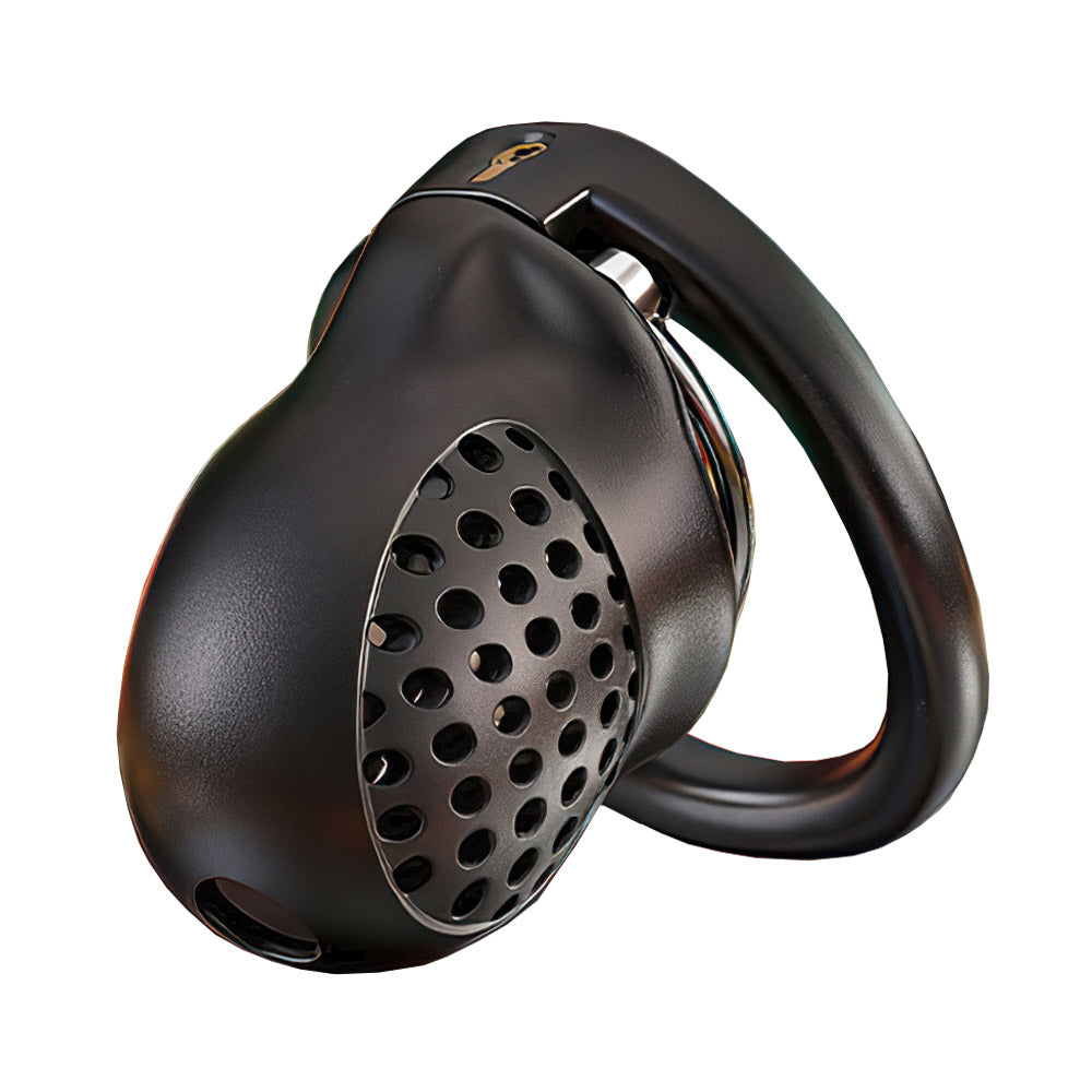 Double-Ring Locking Male Chastity Discipline