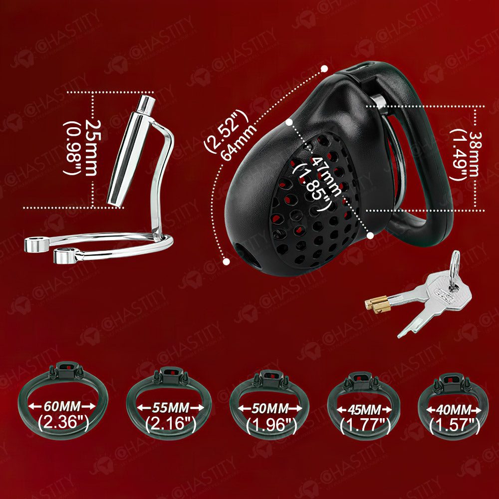 Double-Ring Locking Male Chastity Discipline