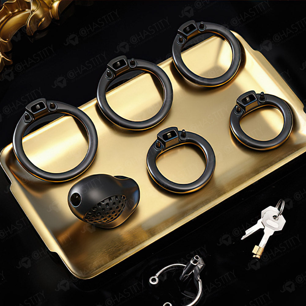 Double-Ring Locking Male Chastity Discipline