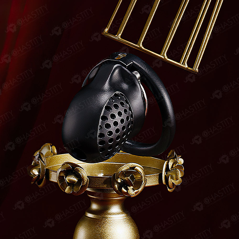 Double-Ring Locking Male Chastity Discipline