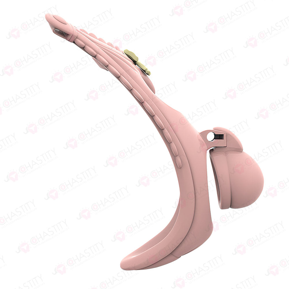 Elf's Dreams Of Chastity