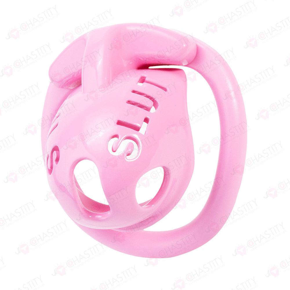 Extreme Humiliation Chastity Cage Slut
