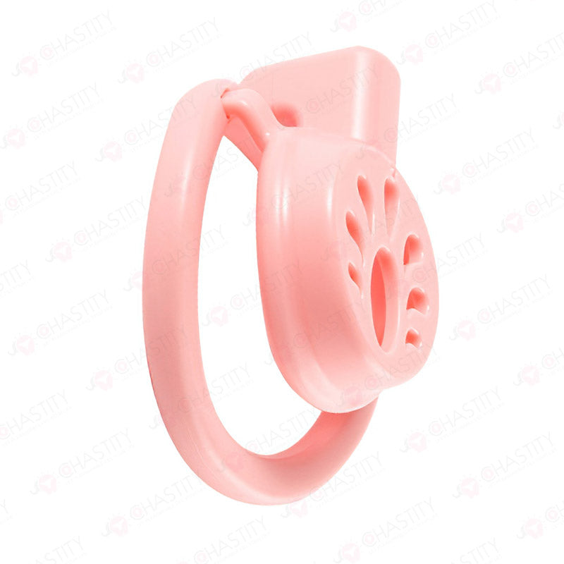 Flat + Small Chastity Cages Set (2 Cages With 3 Rings)