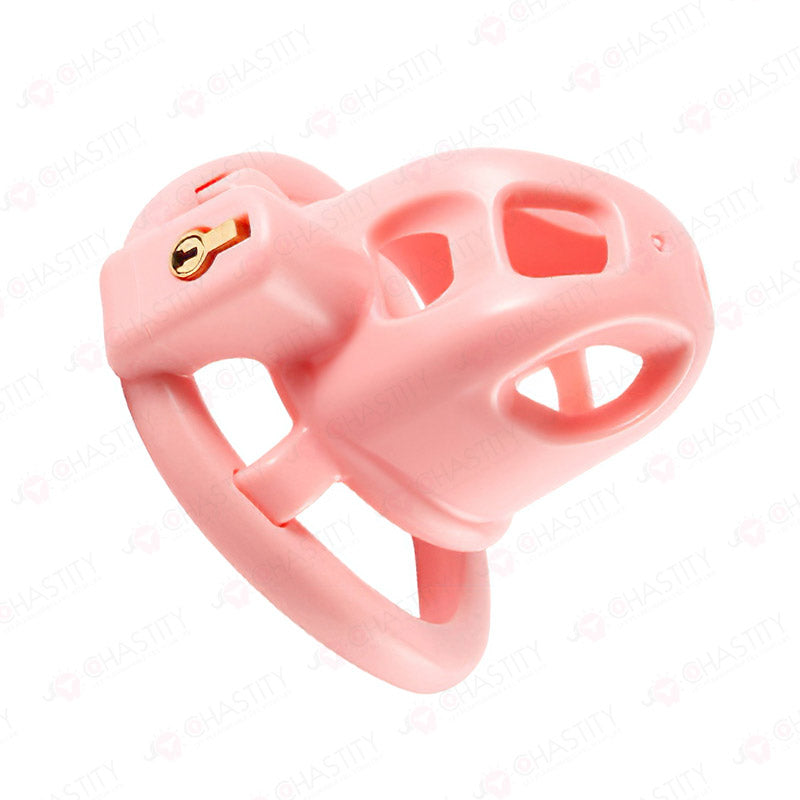 Flat + Small Chastity Cages Set (2 Cages With 3 Rings)
