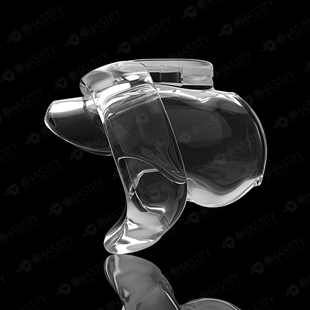 Holy Trainer V6 ( Metal-Free )