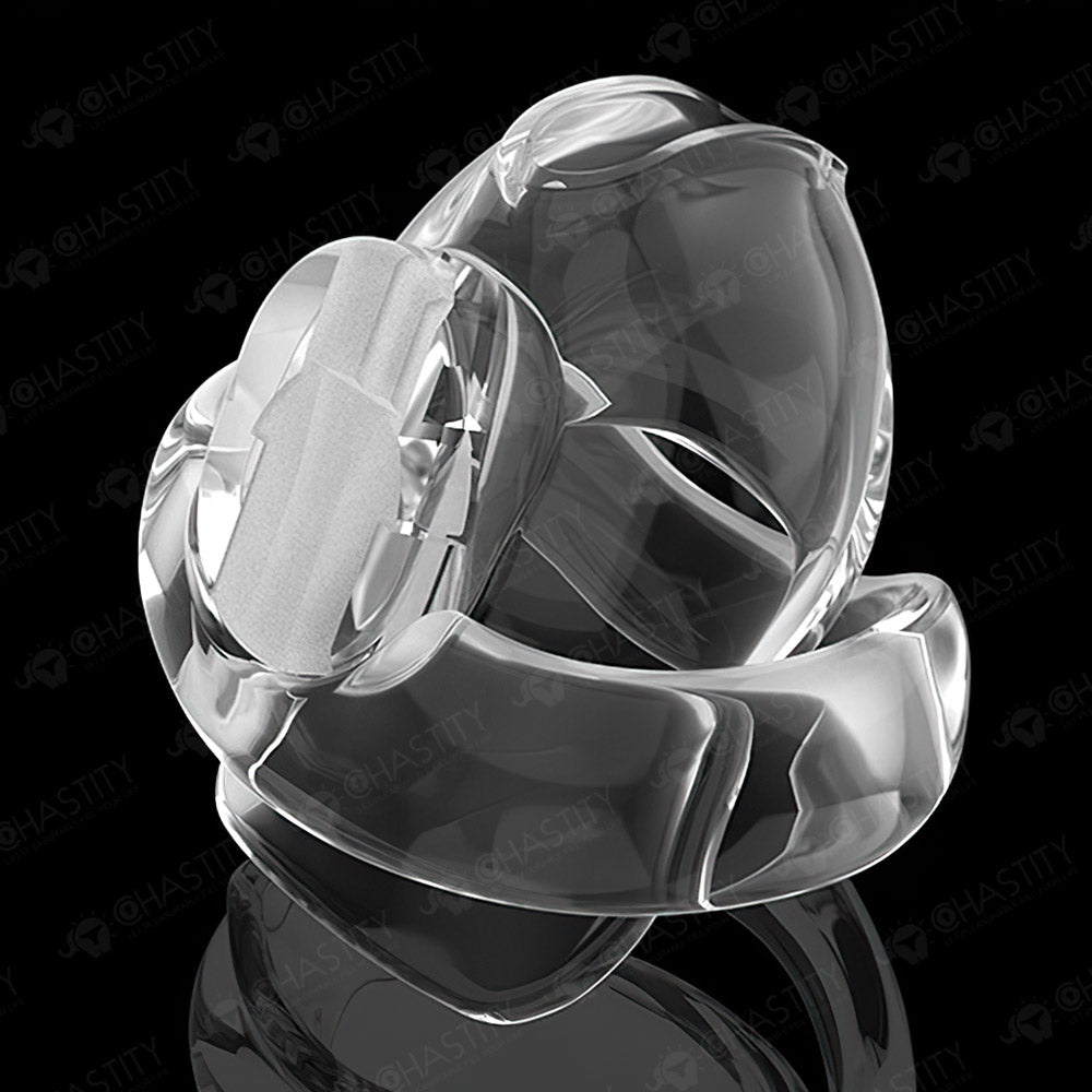 Holy Trainer V6 ( Metal-Free )