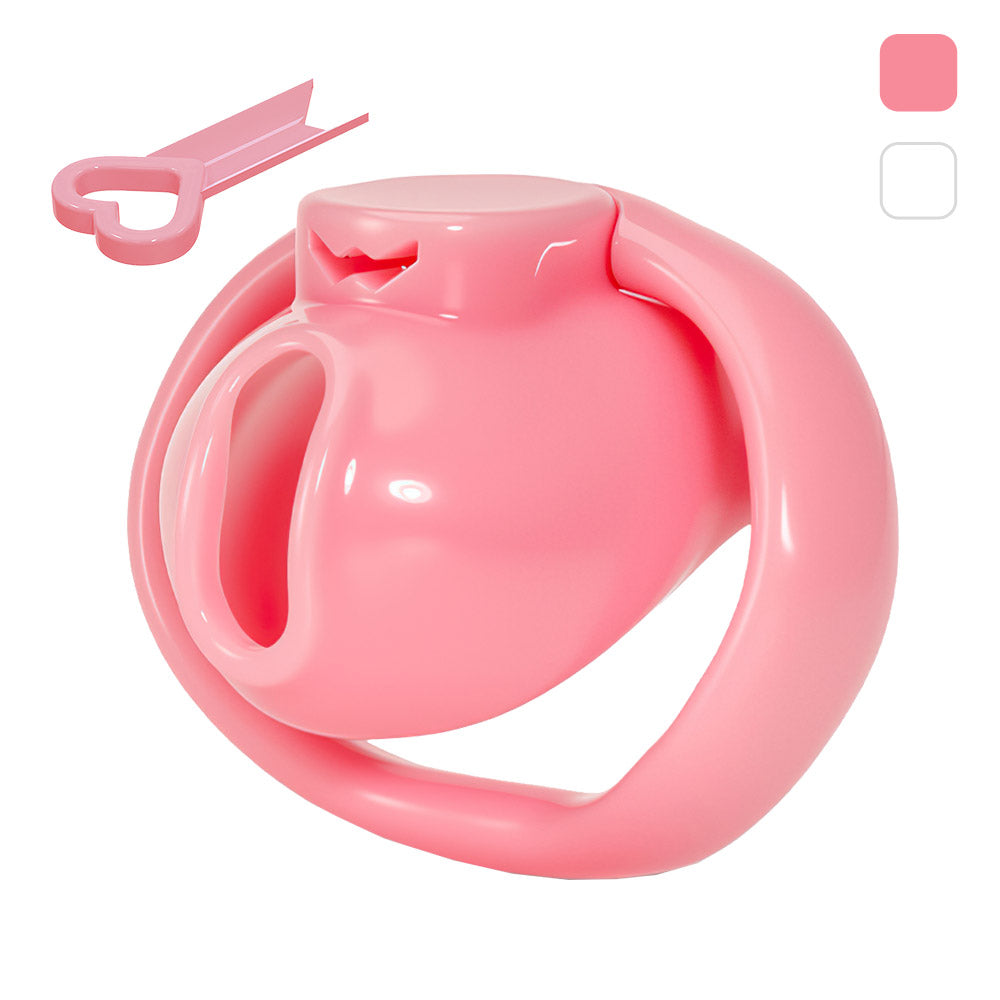 Holy Trainer V6 ( Metal-Free )