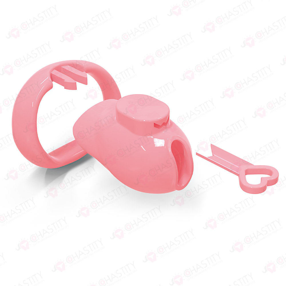 Holy Trainer V6 ( Metal-Free )