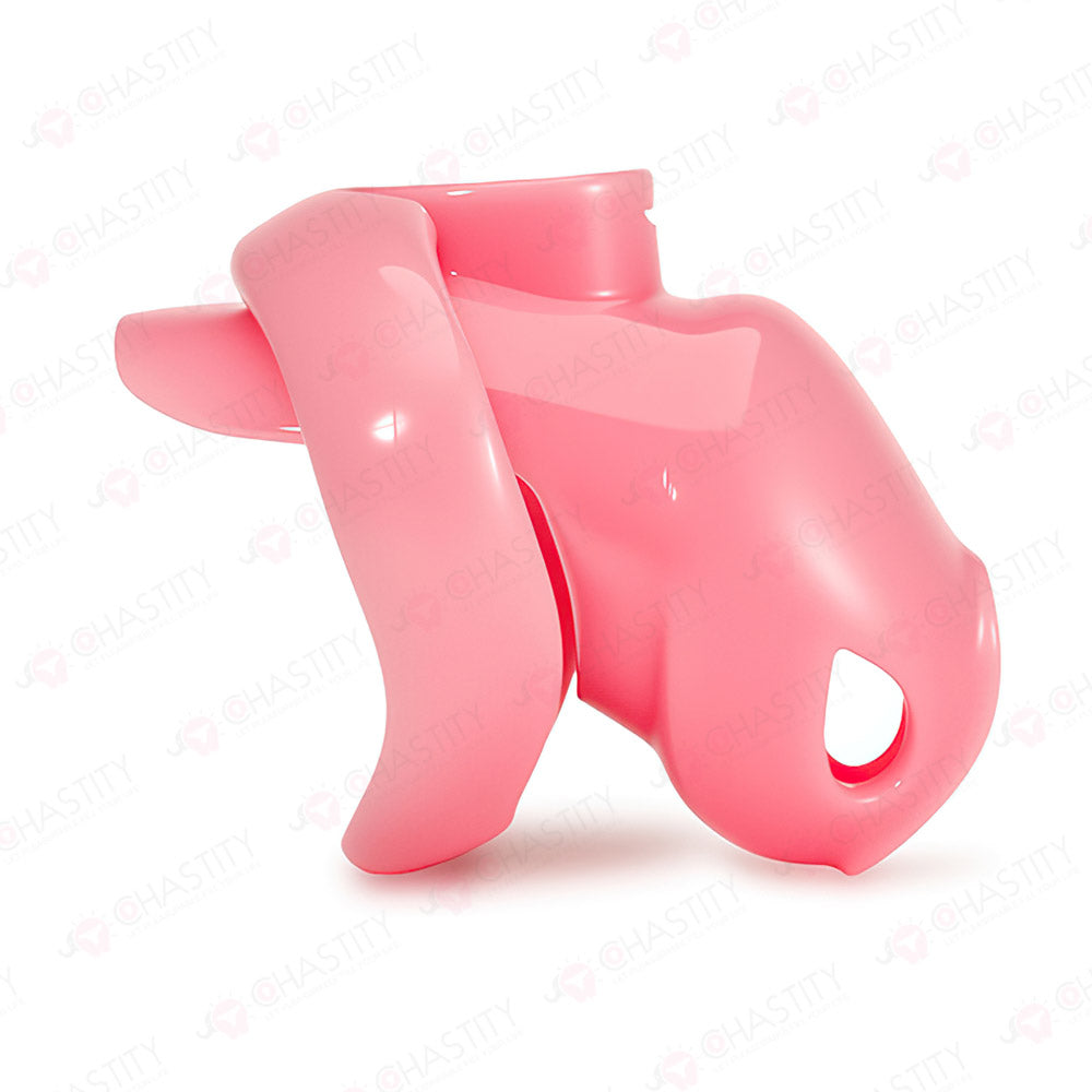 Holy Trainer V6 ( Metal-Free )