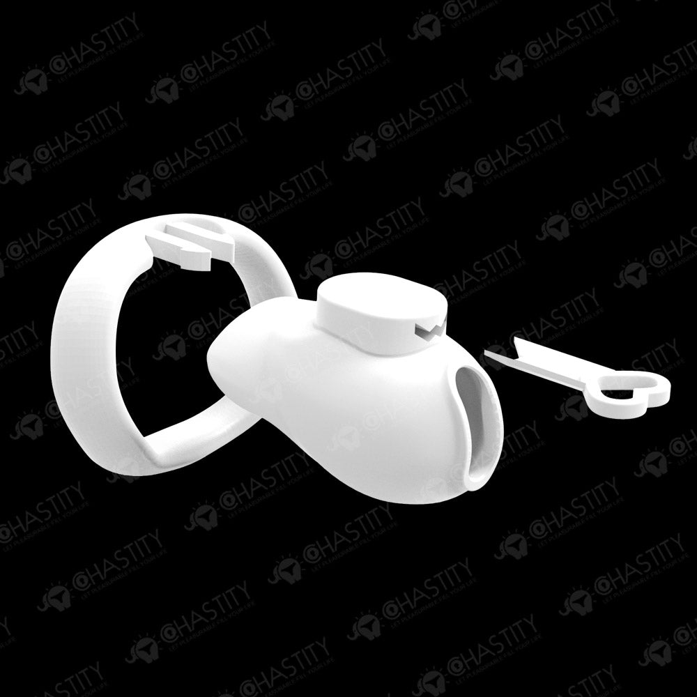 Holy Trainer V6 ( Metal-Free )