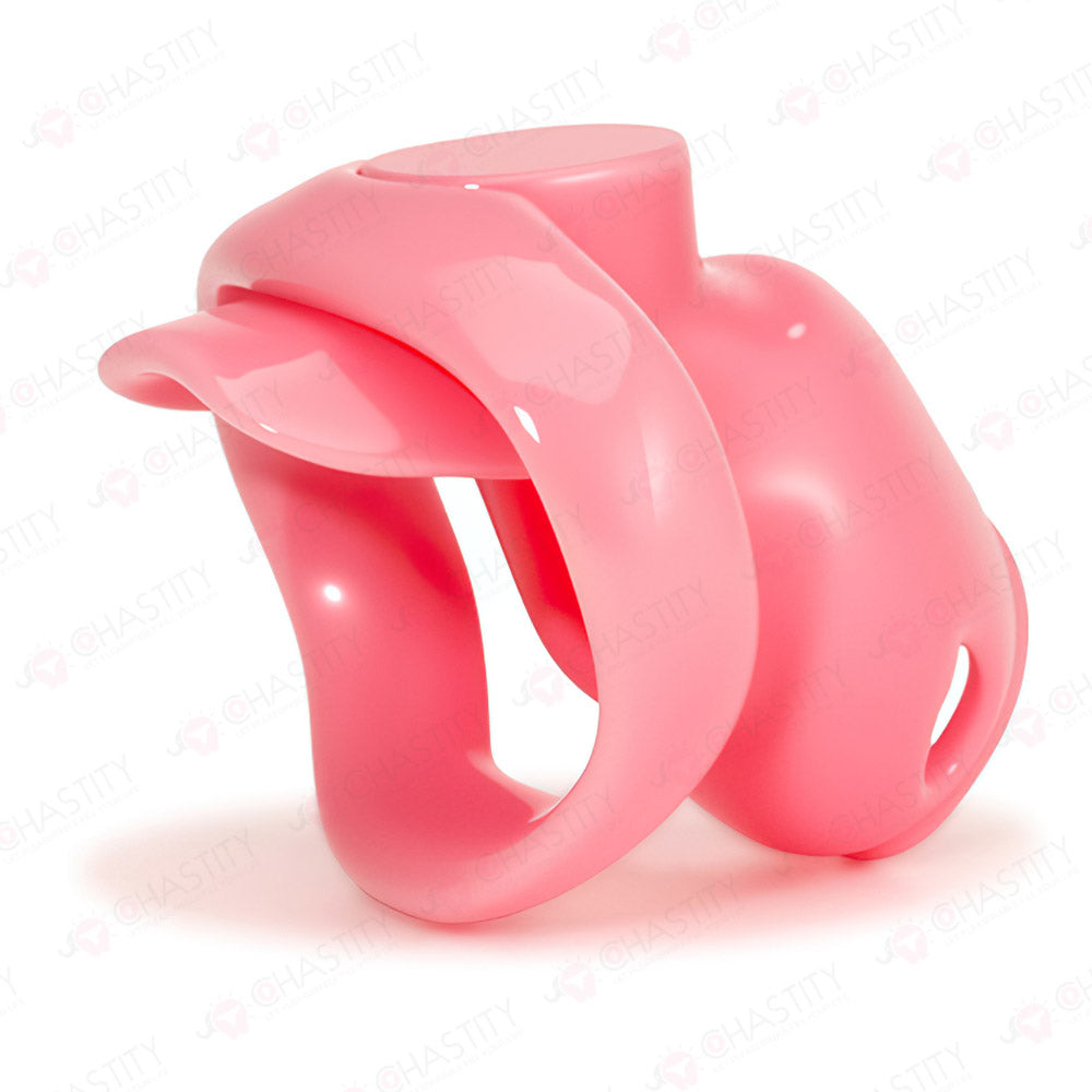 Holy Trainer V6 ( Metal-Free )