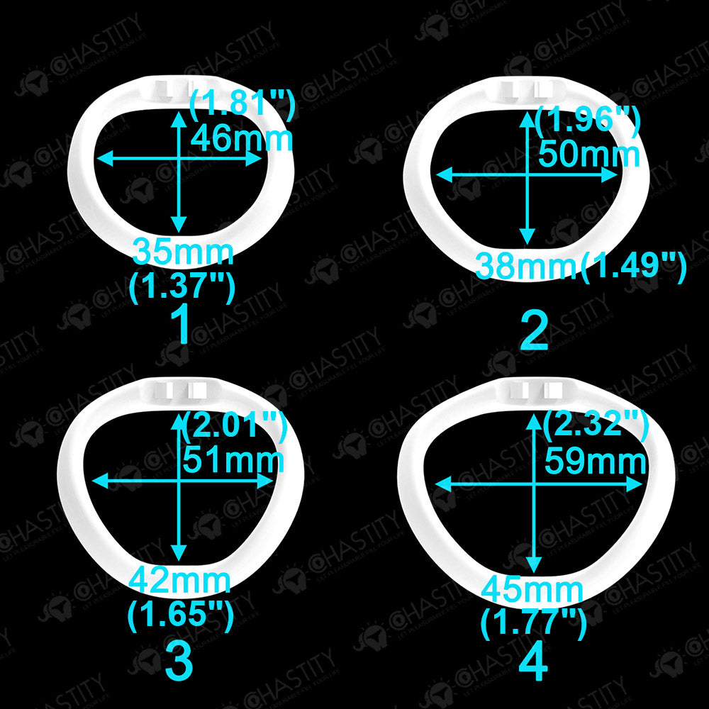 Holy Trainer V6 ( Metal-Free )