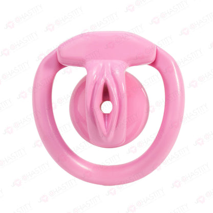 Inverted Crossdressing Chastity Pussy