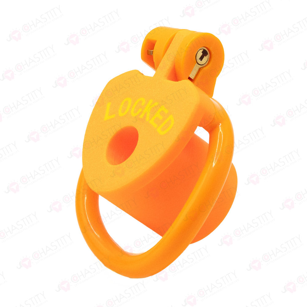 Locked Internal Chastity Cage