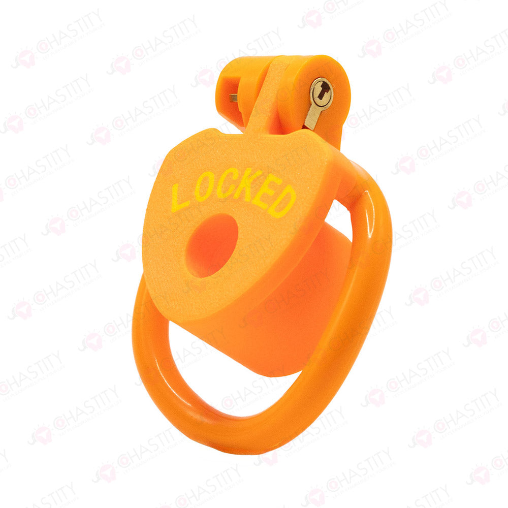 Locked Internal Chastity Cage
