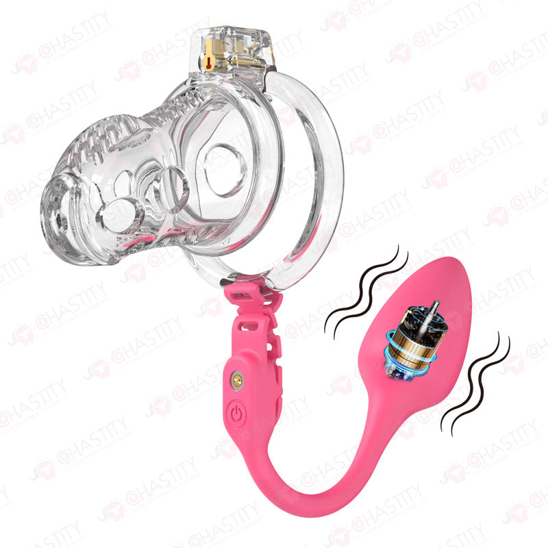 Male Slave In Cage & Remote Controlled Butt Plug MChastity Male Slave In Cage & Remote Controlled Butt Plug MChastity