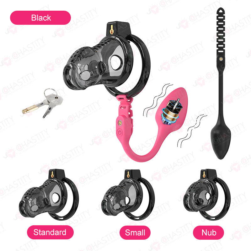 Male Slave In Cage & Remote Controlled Butt Plug MChastity Male Slave In Cage & Remote Controlled Butt Plug MChastity