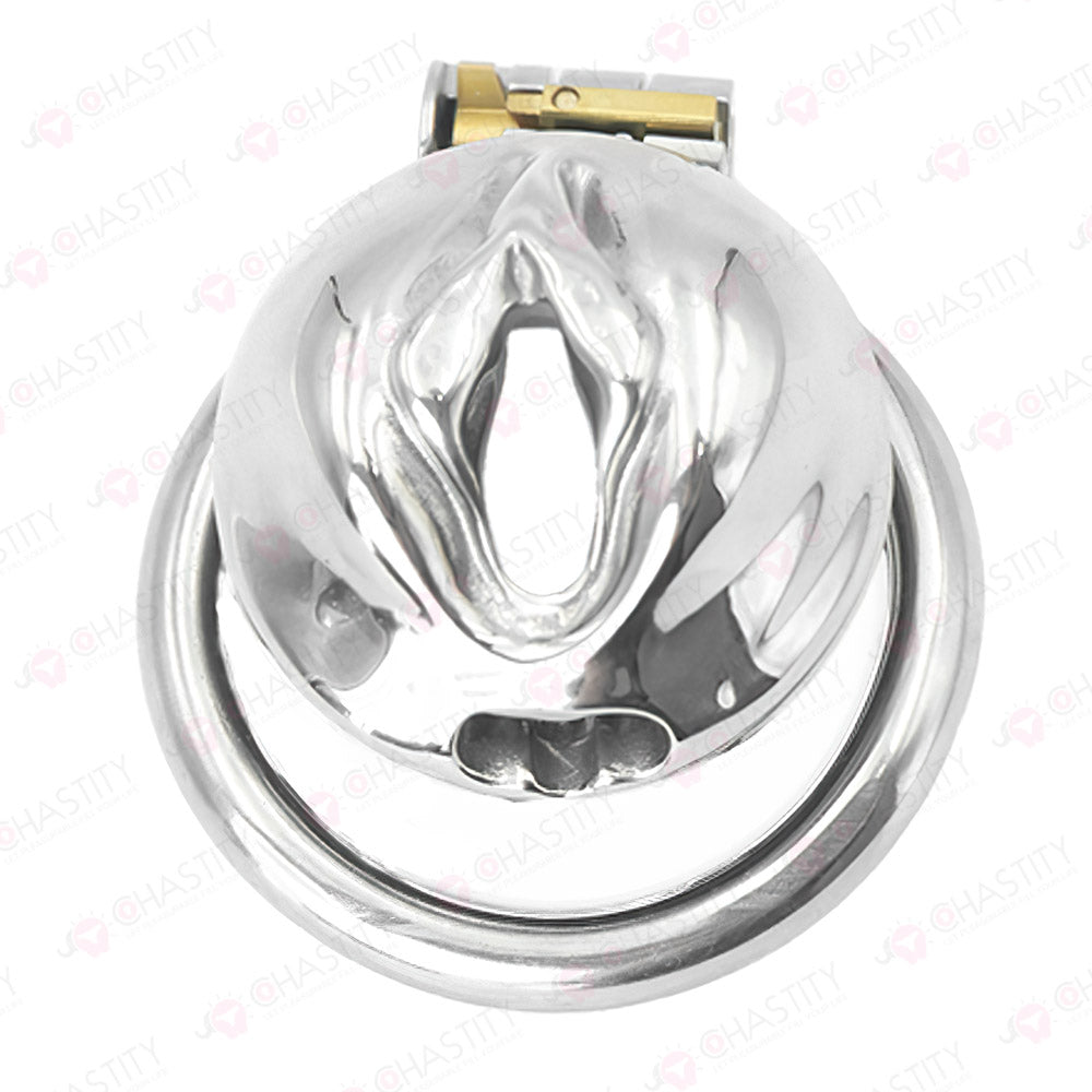 Metal Sissy Labia Cock Cage