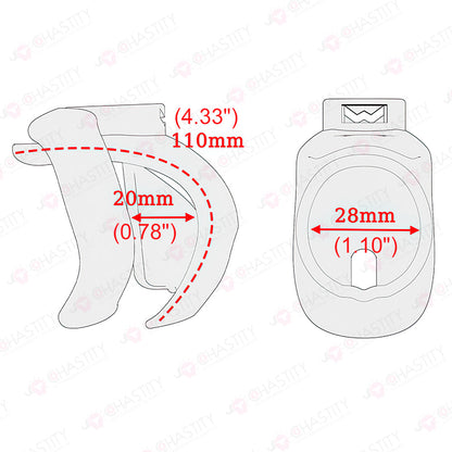 Pin-Lock Forever Chastity Cage