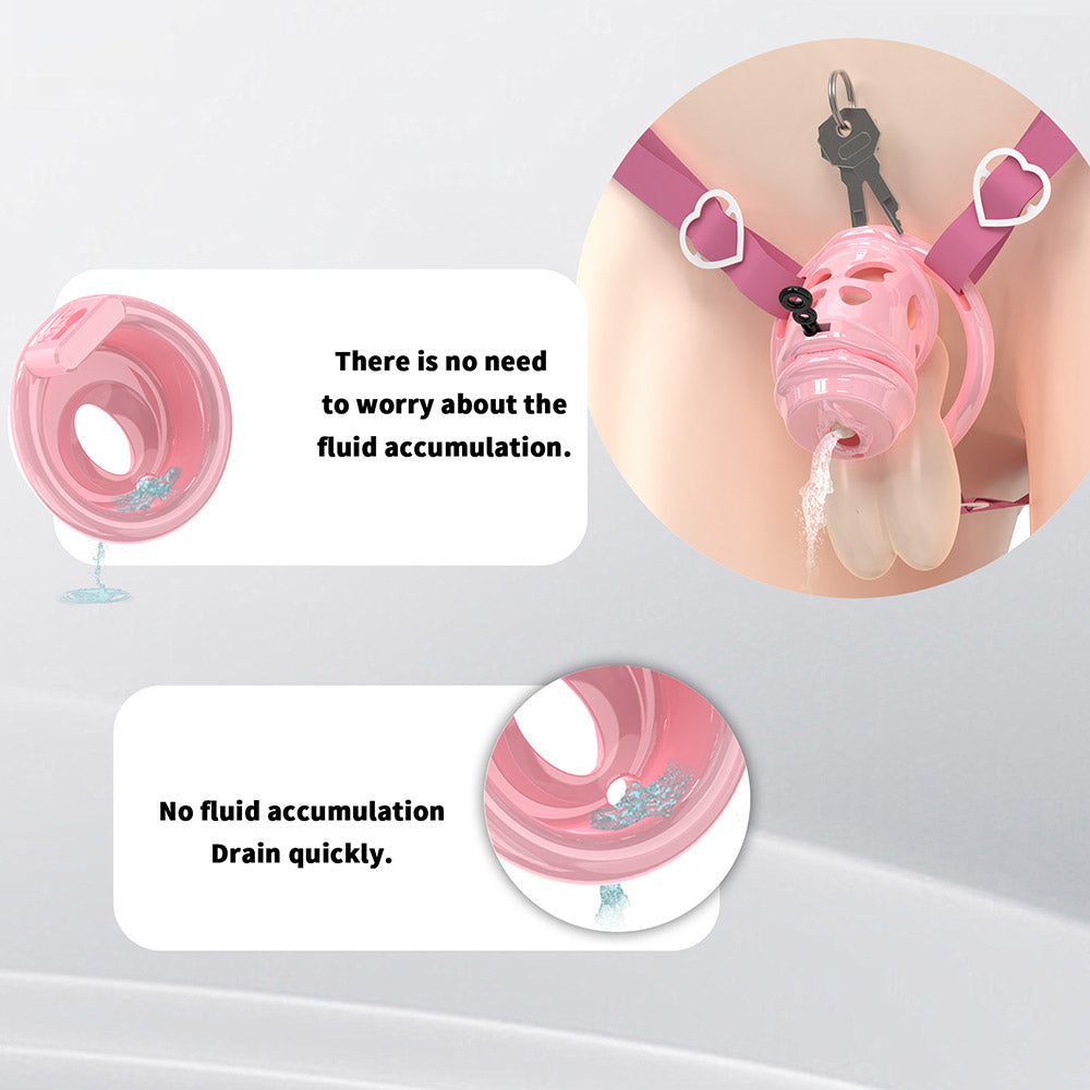 Removable Head Free-assembly Chastity Cage