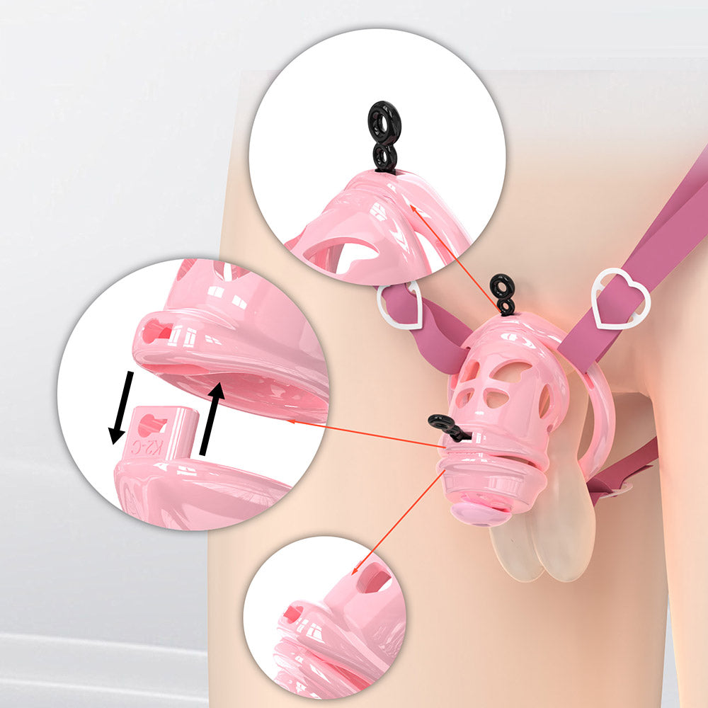 Removable Head Free-assembly Chastity Cage