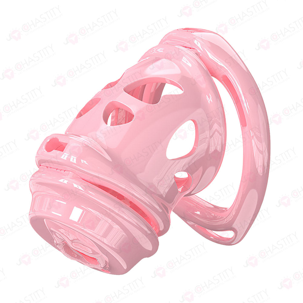 Removable Head Free-assembly Chastity Cage
