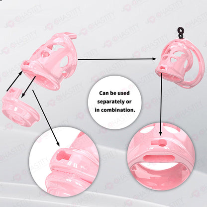 Removable Head Free-assembly Chastity Cage