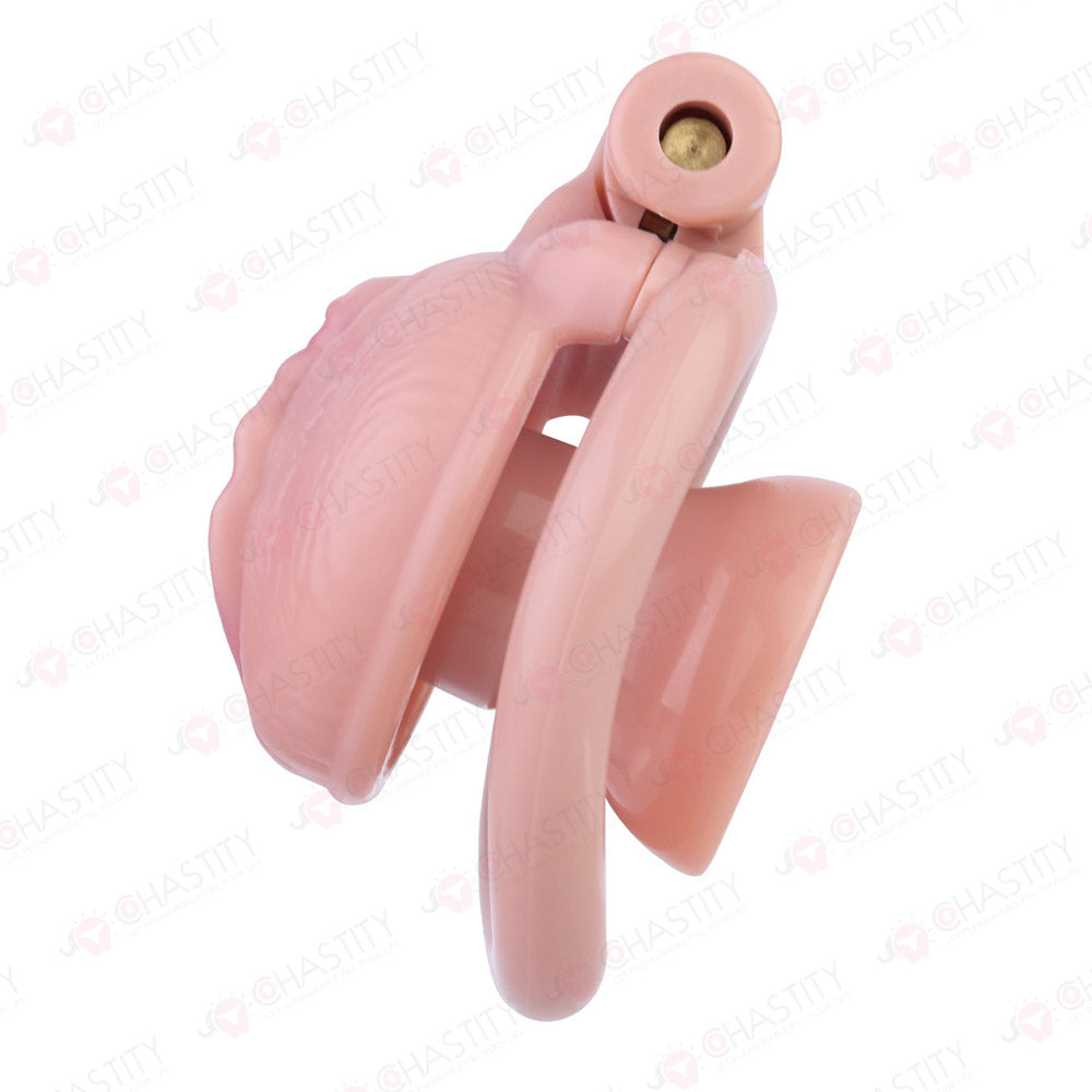 Sissy Clitoris Chastity Trans