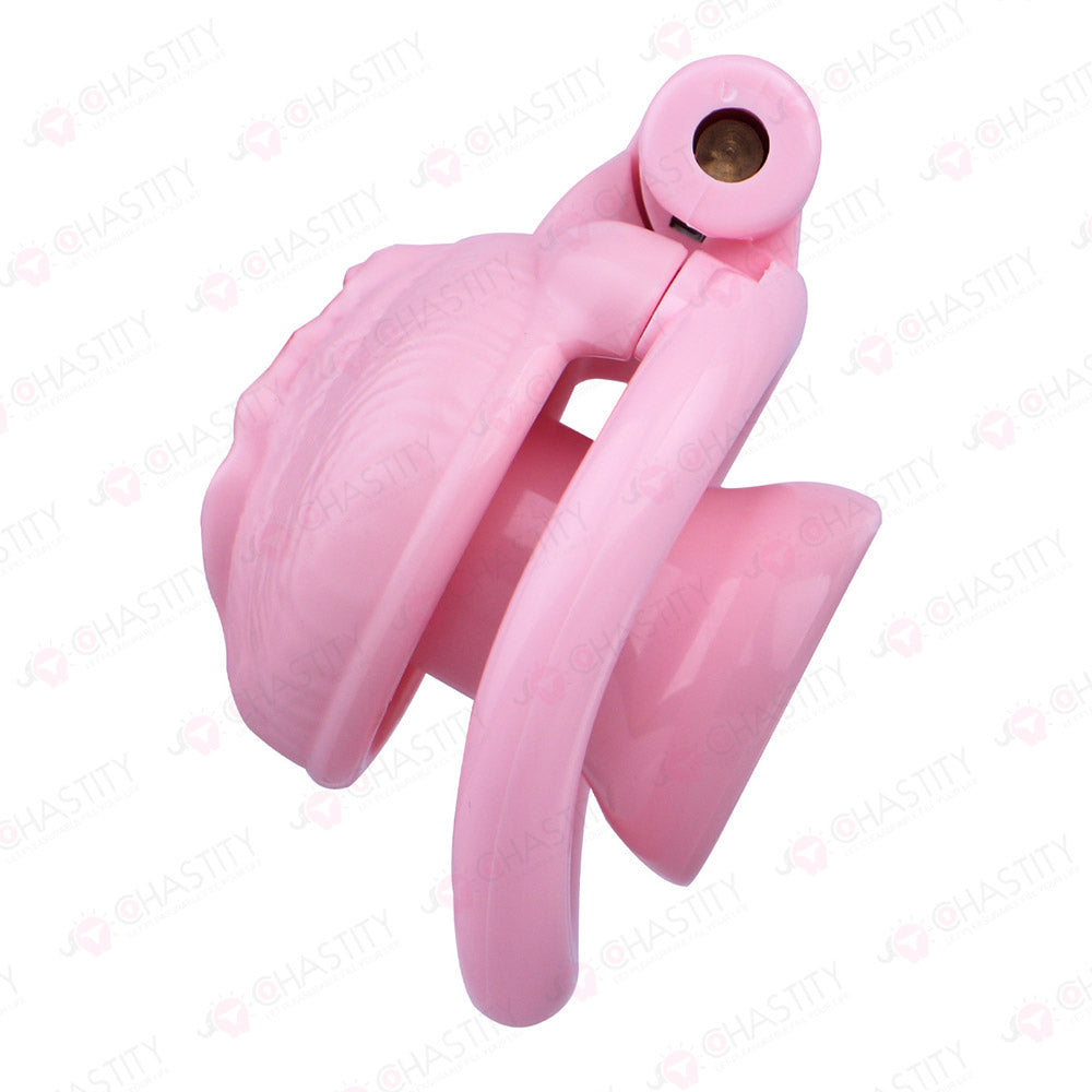 Sissy Clitoris Chastity Trans