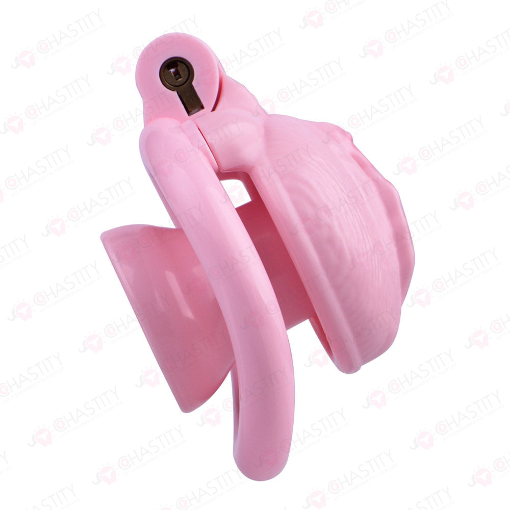 Sissy Clitoris Chastity Trans