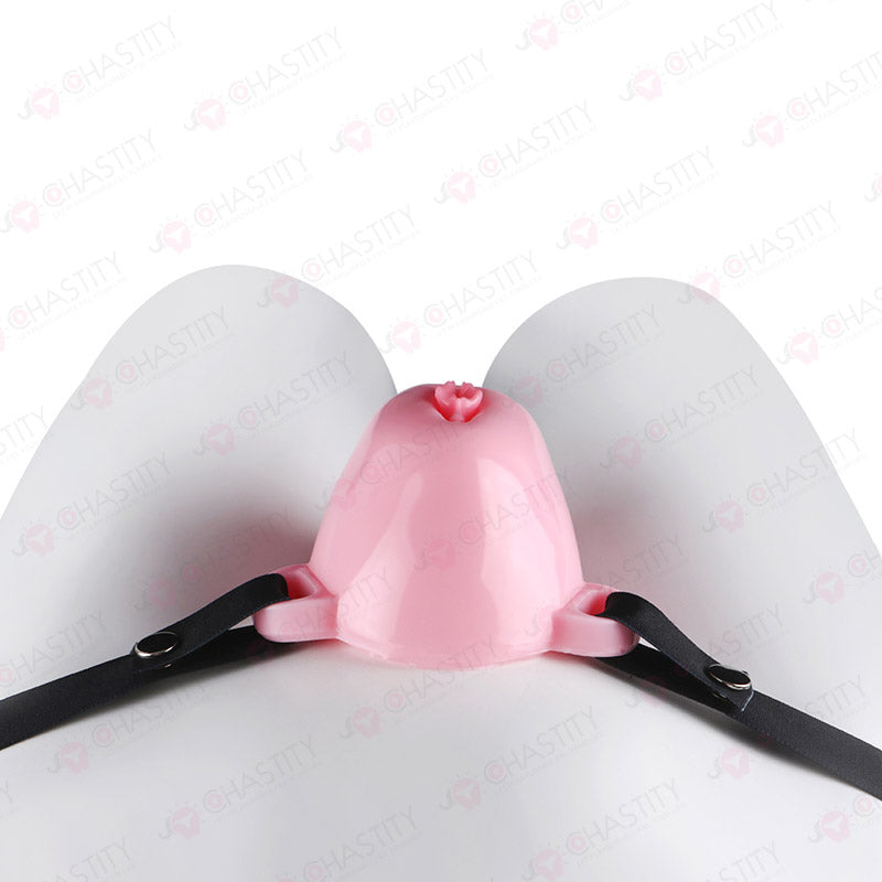 Sissy Feminization Pussy Panties