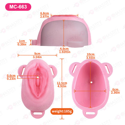 Sissy Feminization Pussy Panties