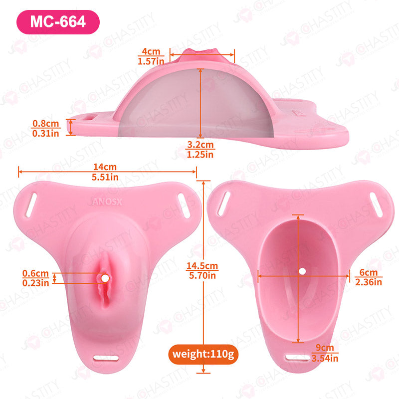 Sissy Feminization Pussy Panties