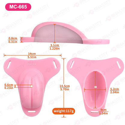 Sissy Feminization Pussy Panties