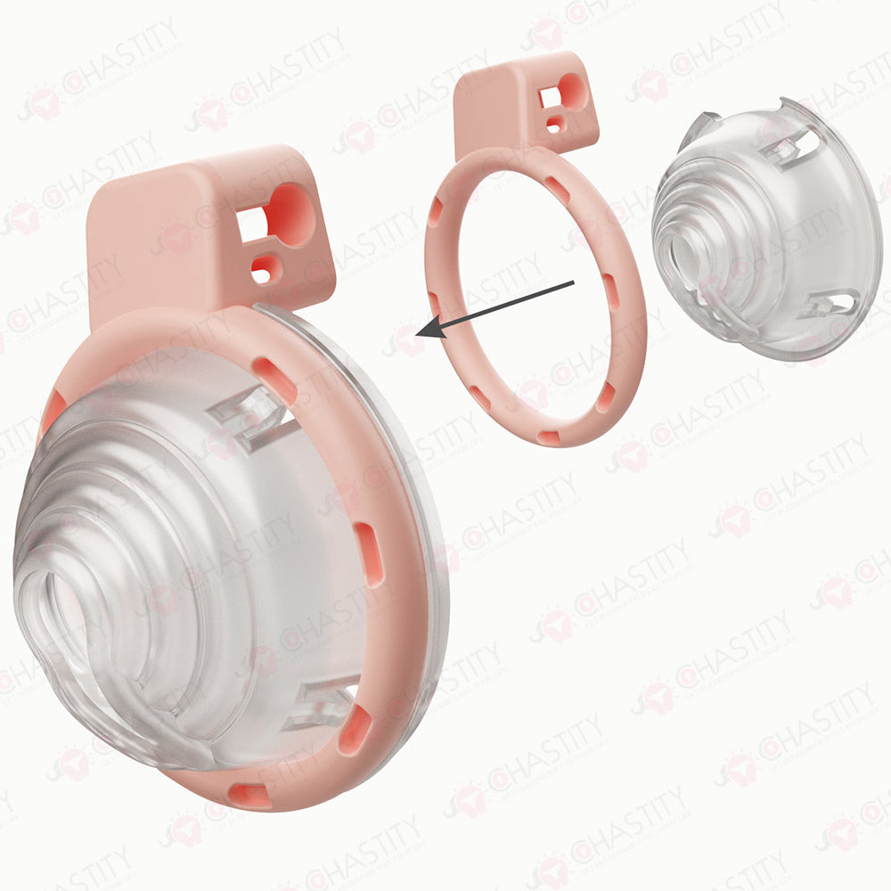 Snail House Vortex Chastity Cage (Detachable Modular Design)
