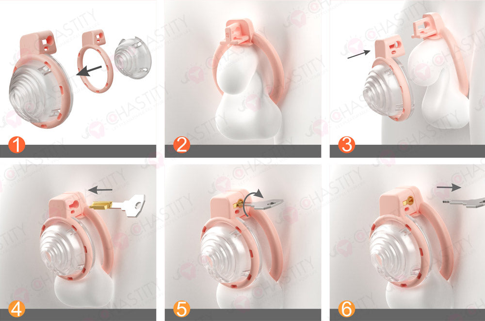 Snail House Vortex Chastity Cage (Detachable Modular Design)
