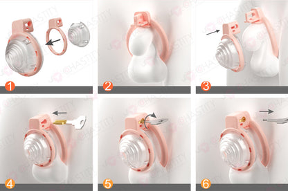 Snail House Vortex Chastity Cage (Detachable Modular Design)