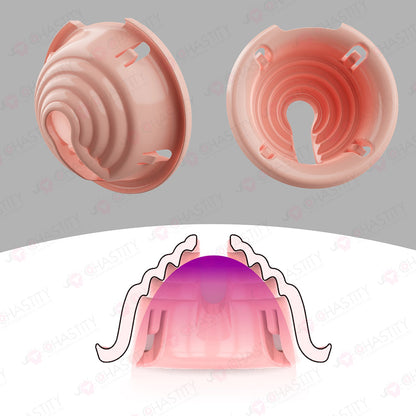 Snail House Vortex Chastity Cage (Detachable Modular Design)