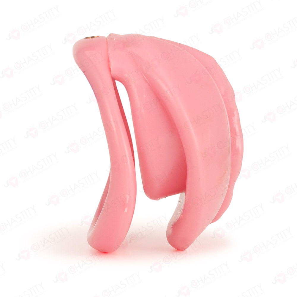 Soft Vagina Femboy Micro Chastity
