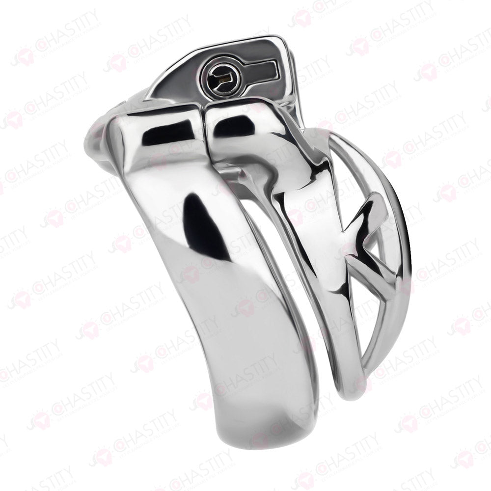 The Guardian Chastity Cage