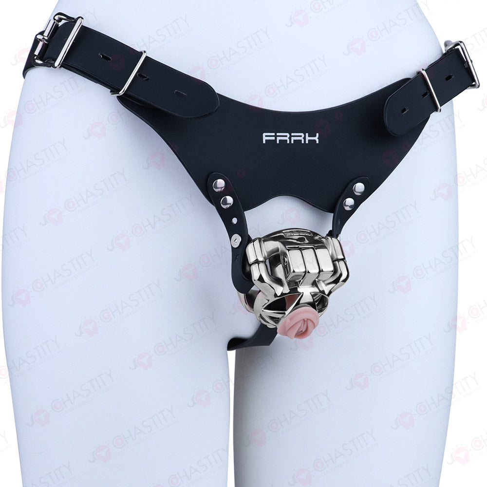 The Guardian Chastity Cage