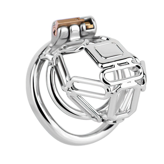 The Metal Gate of the Chastity Fantasy