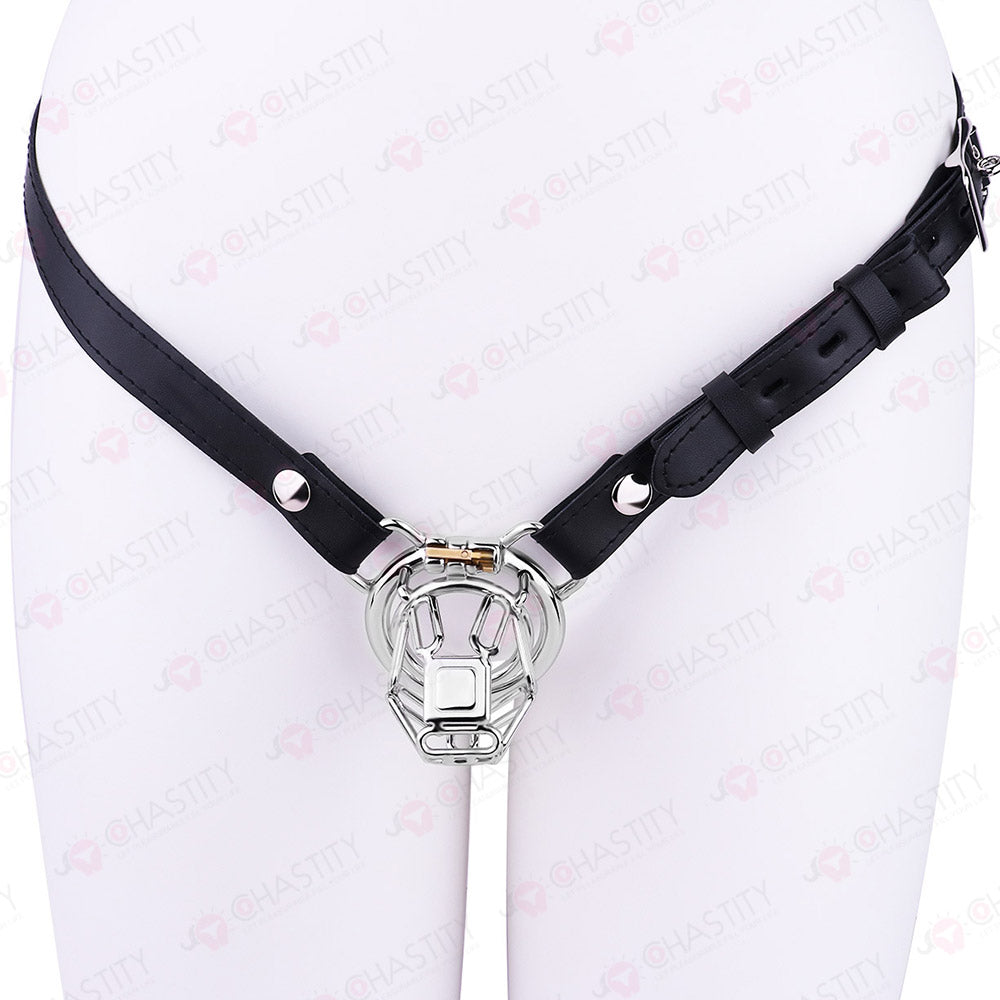 The Metal Gate of the Chastity Fantasy