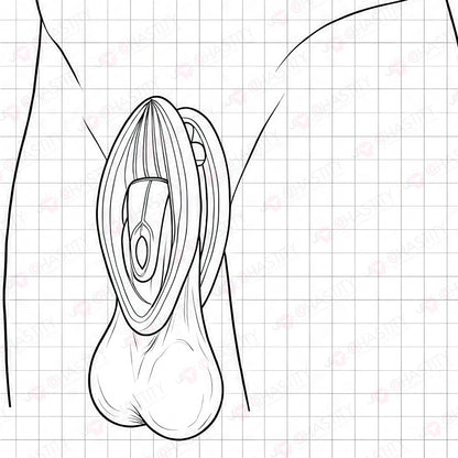 Vulva Maker - Male Chastity Fufu Clip