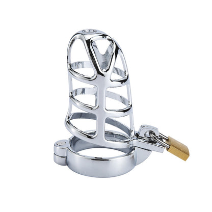 chastity cage lock