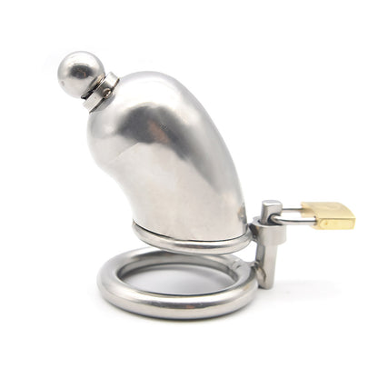 fully enclosed chastity cage